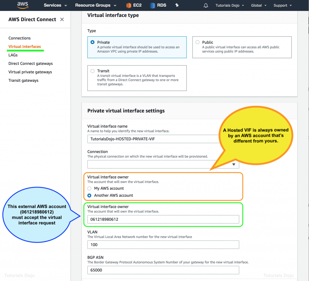 FREE AWS Certified Advanced Networking Specialty ANS-C01 Resources