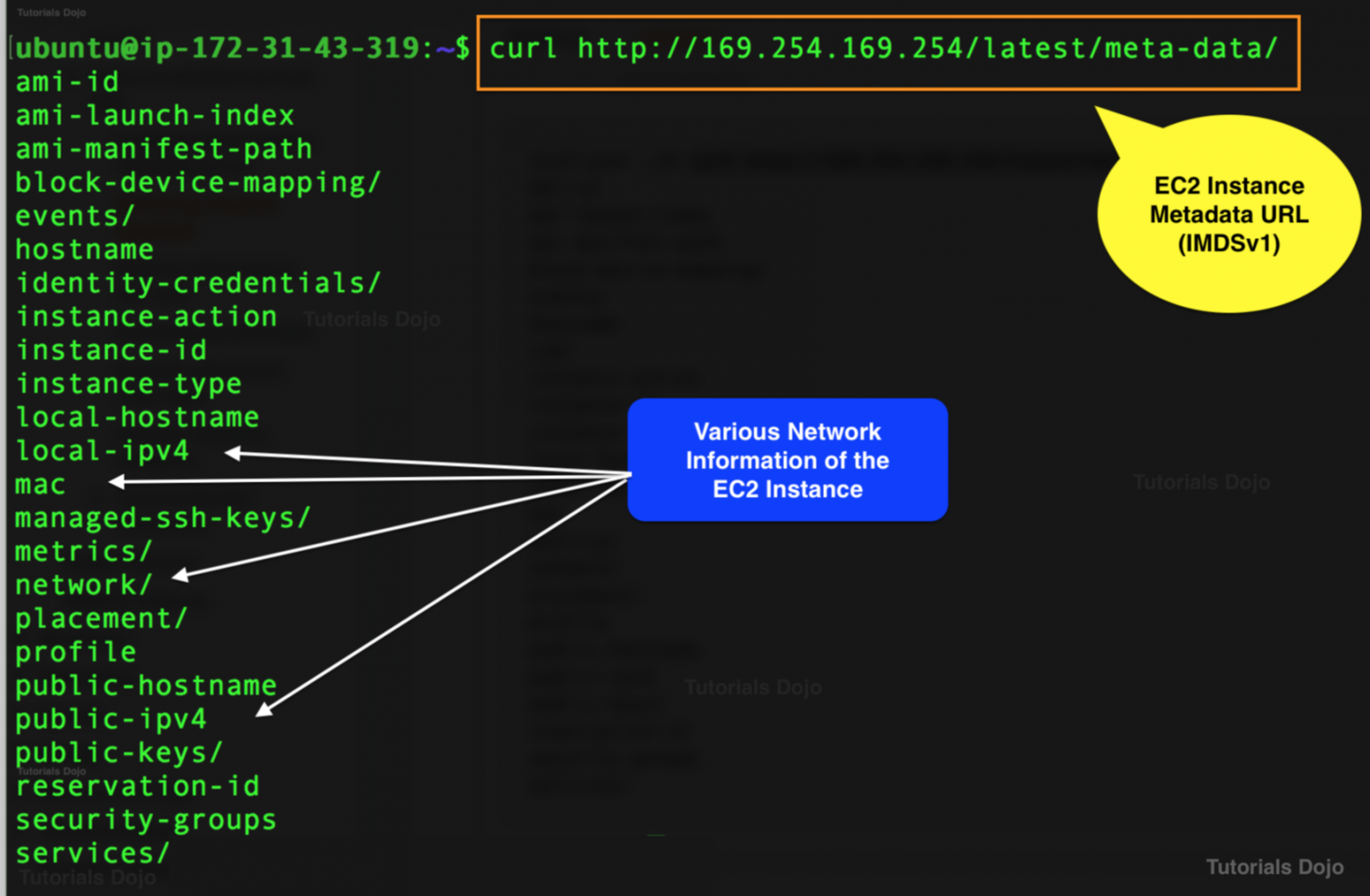 FREE AWS Certified Advanced Networking Specialty ANS-C01 Resources