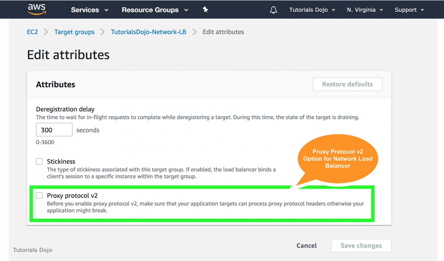 FREE AWS Certified Advanced Networking Specialty ANS-C01 Resources