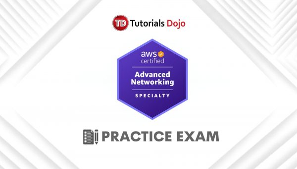 AWS Certified Advanced Networking Specialty Practice Exams ANS-C01 Course Image