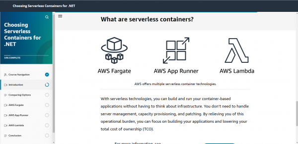 Choosing Serverless Containers for .NET - Serverless Container