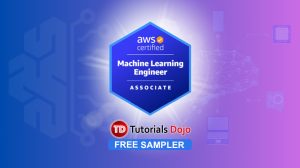 TD MLA-C01 AWS Certified Machine Learning Engineer Associate Free Sampler