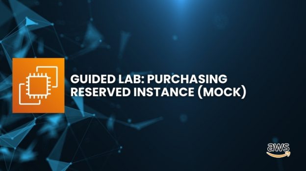 Purchasing Reserved Instance (Mock)