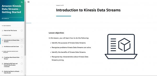 Amazon Kinesis Data Streams Getting Started - Introduction