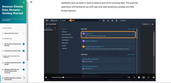 Amazon Kinesis Data Streams Getting Started - Monitoring Data Demonstration