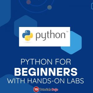 TD Python for Beginners with Hands-On Labs